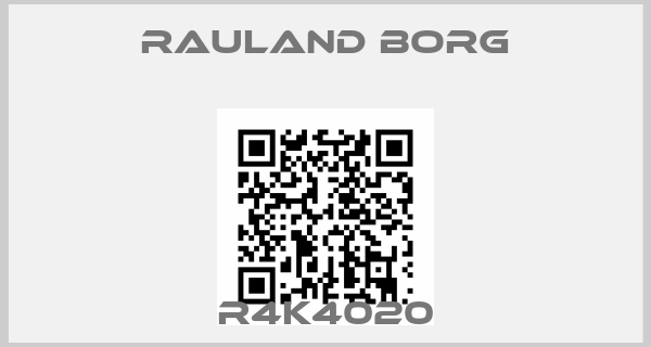 RAULAND BORG-R4K4020