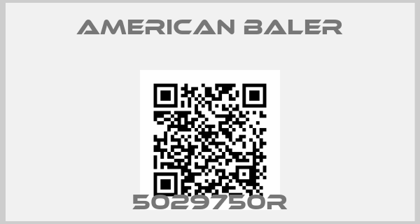 AMERICAN BALER-5029750R