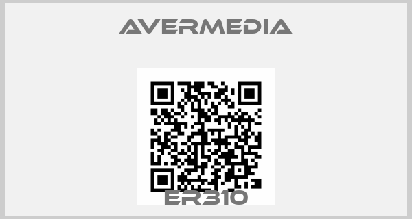 AVerMedia-er310