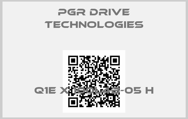 PGR Drive Technologies-Q1E X 100L4B-05 H