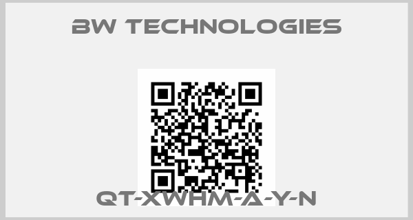 BW Technologies-QT-XWHM-A-Y-N