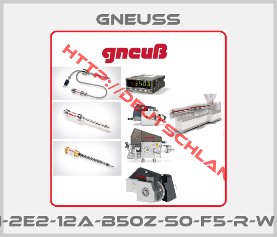 Gneuss-DAI-2E2-12A-B50Z-S0-F5-R-W-6P