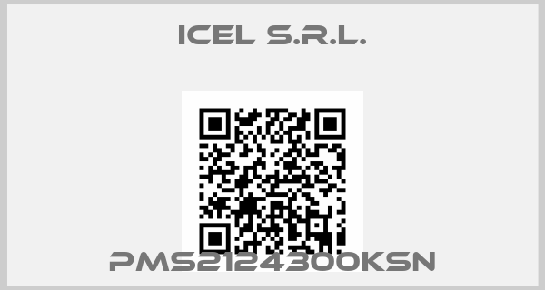 Icel s.r.l.-PMS2124300KSN