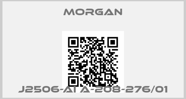 Morgan-J2506-AI A-208-276/01