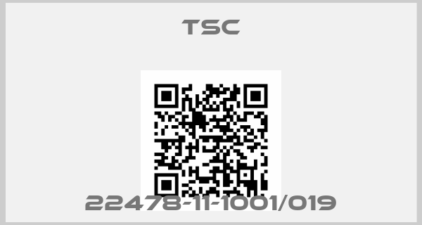 TSC-22478-11-1001/019