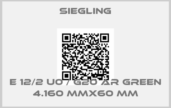 Siegling-E 12/2 U0 / G20 AR GREEN 4.160 mmx60 mm