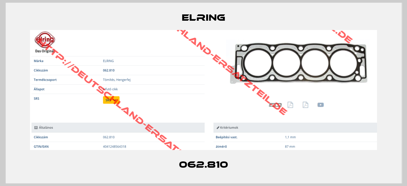 Elring-062.810
