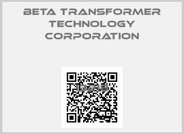 Beta Transformer Technology Corporation-13218