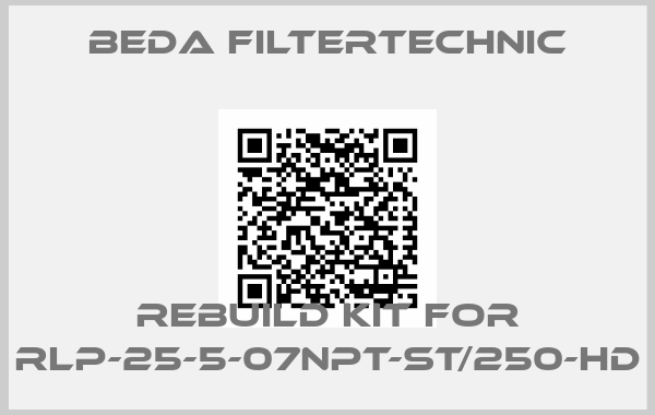 Beda Filtertechnic-Rebuild kit for RLP-25-5-07NPT-ST/250-HD
