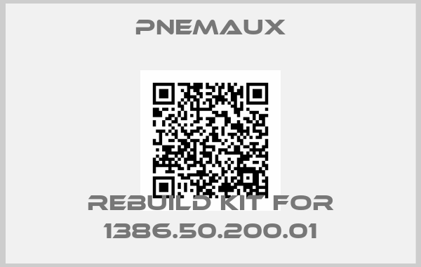 Pnemaux-rebuild kit for 1386.50.200.01