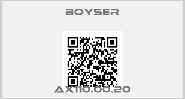 Boyser-AX110.00.20