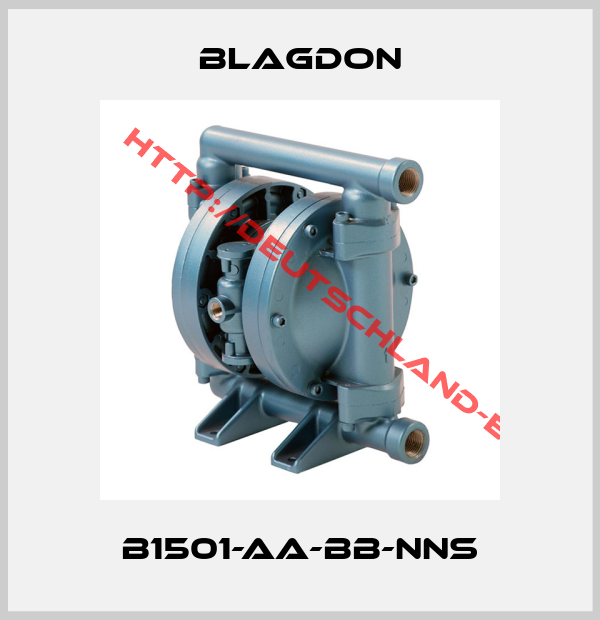 Blagdon-B1501-AA-BB-NNS