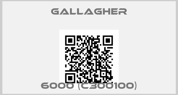 Gallagher-6000 (C300100)