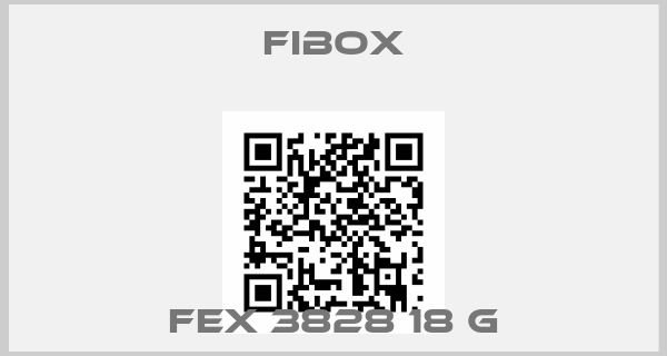 Fibox-FEX 3828 18 G