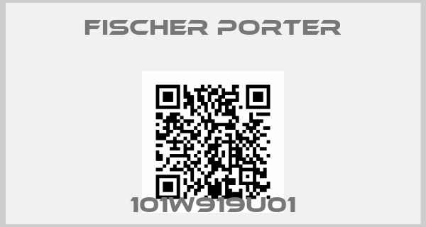 FISCHER & PORTER-101W919U01