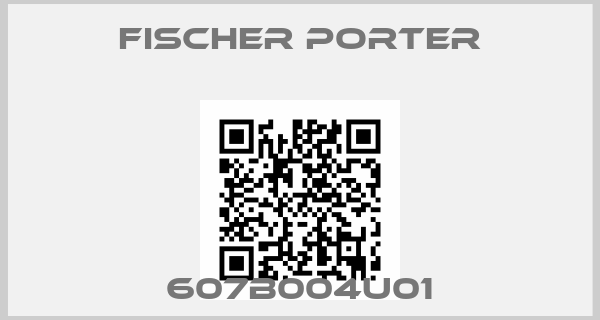 FISCHER & PORTER-607B004U01