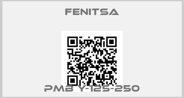 Fenitsa-PMB Y-125-250