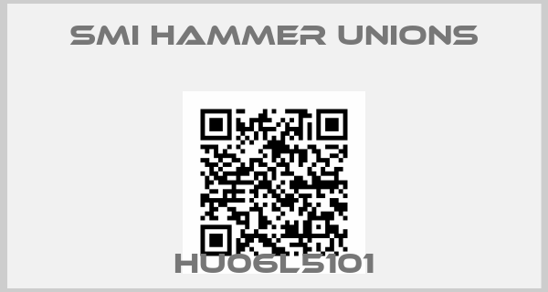 SMI Hammer unions-HU06L5101