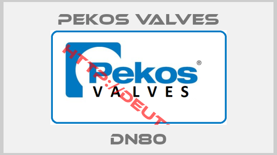 Pekos Valves-DN80