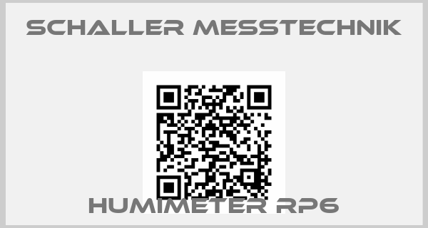 Schaller Messtechnik-Humimeter RP6