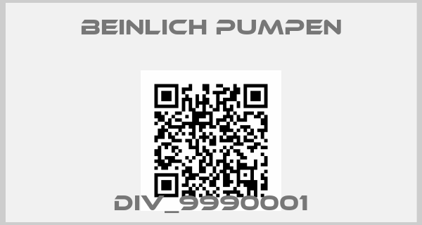 Beinlich Pumpen-DIV_9990001