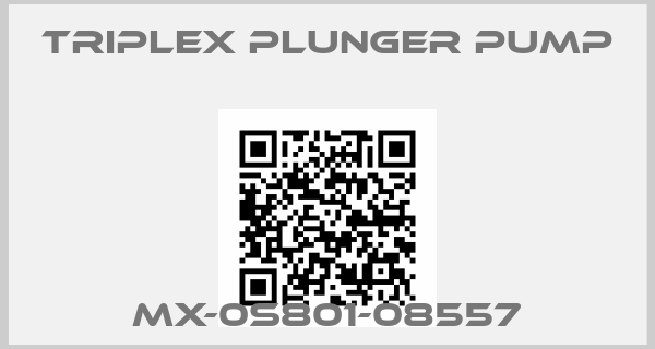 Triplex Plunger Pump-MX-0S801-08557