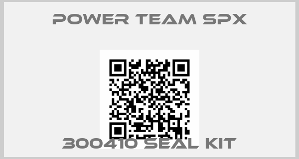 Power Team SPX-300410 seal kit
