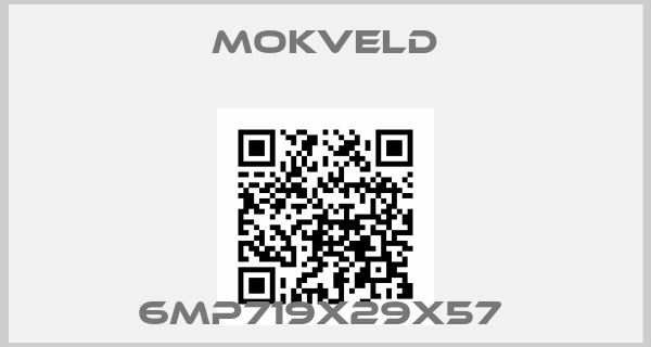 Mokveld-6MP719X29X57 