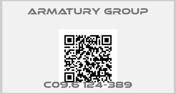 Armatury Group-C09.6 124-389