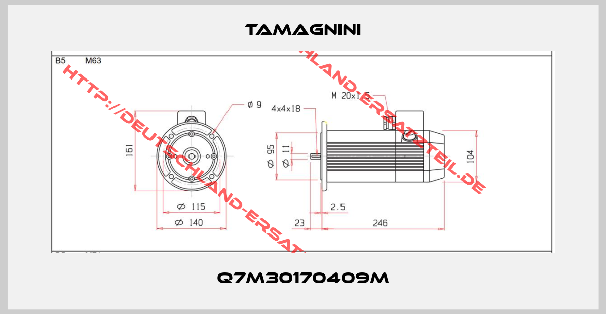 TAMAGNINI-Q7M30170409M