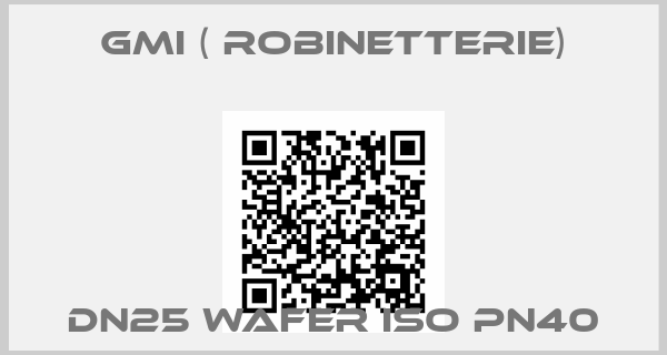 GMI ( robinetterie)-DN25 Wafer ISO PN40