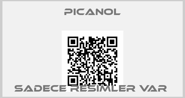 Picanol-SADECE RESIMLER VAR 
