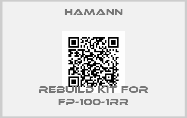 HAMANN-Rebuild kit for FP-100-1RR