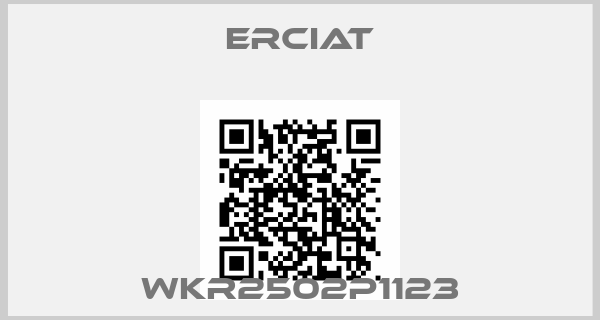 ERCIAT-WKR2502P1123