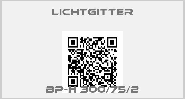 Lichtgitter-BP-H 300/75/2