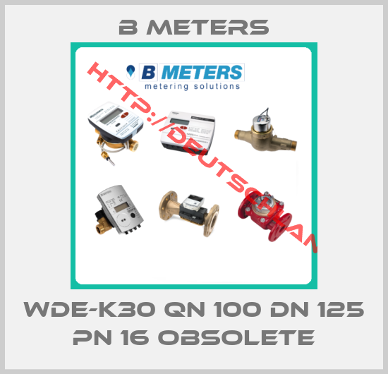 B Meters-WDE-K30 QN 100 DN 125 PN 16 obsolete