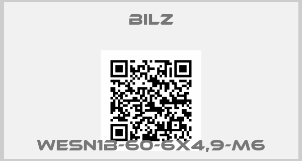 BILZ-WESN1B-60-6X4,9-M6