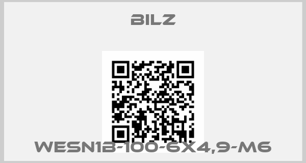 BILZ-WESN1B-100-6X4,9-M6