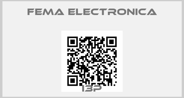 FEMA ELECTRONICA-I3P