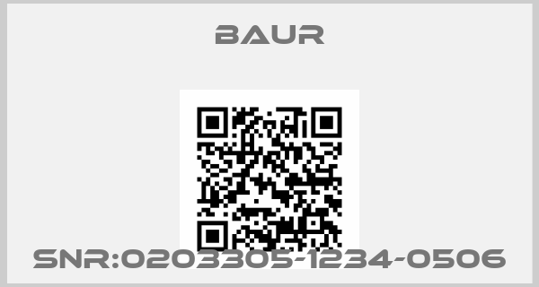 Baur-Snr:0203305-1234-0506