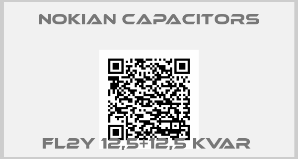 Nokian Capacitors-FL2Y 12,5+12,5 KVAr 