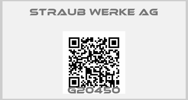 Straub Werke AG-G20450