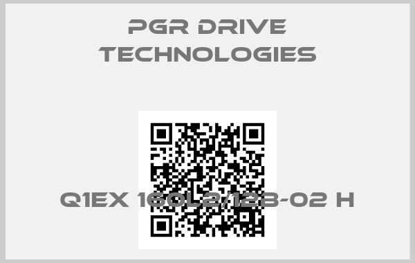 PGR Drive Technologies-Q1EX 160L2/12B-02 H