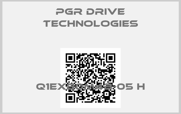 PGR Drive Technologies-Q1EX80M4B-05 H