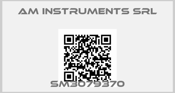 AM Instruments Srl-SM3079370