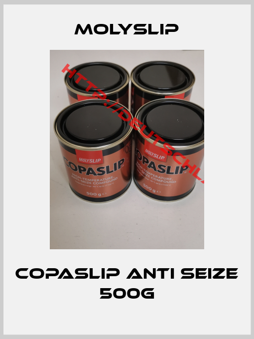 Molyslip-Copaslip Anti Seize 500g