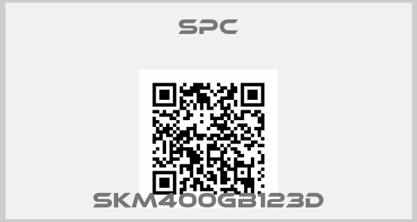 SPC-SKM400GB123D