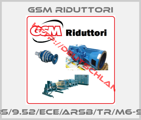 GSM Riduttori-RXO1/814/BS/9.52/ECE/ARSB/TR/M6-s-DT2-VT-AI