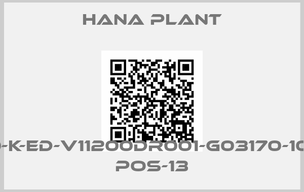 HANA PLANT-160-K-ED-V11200DR001-G03170-1008 POS-13