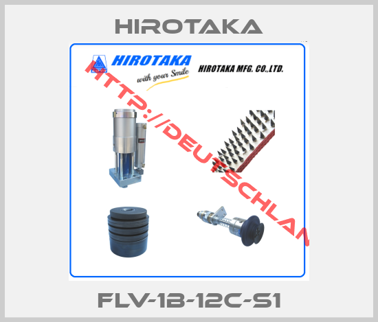 Hirotaka- FLV-1B-12C-S1